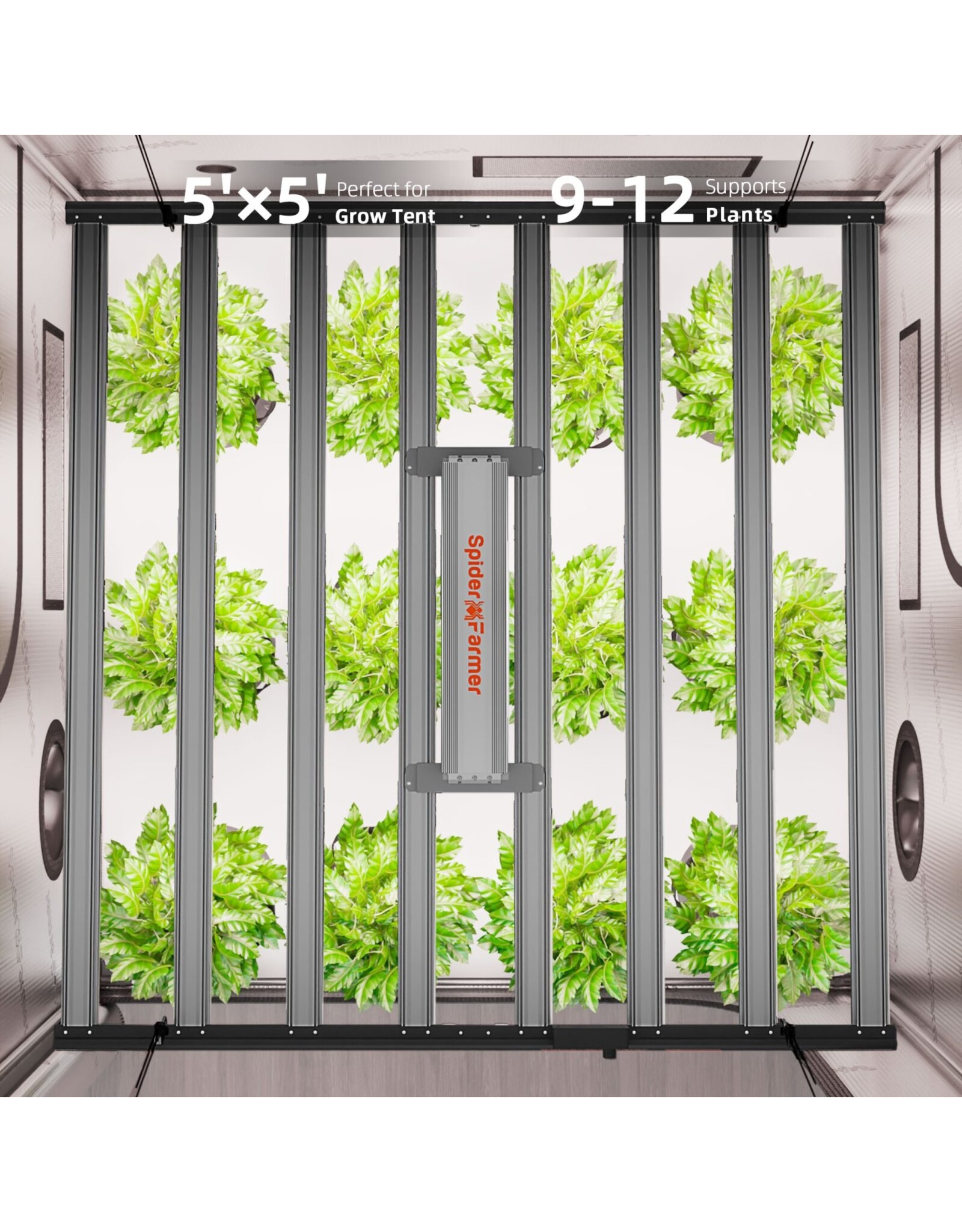 Spider Farmer Spider Farmer 150x150x200cm Complete Grow Tent Kit  With Program  Controller G1000W(1000W)