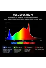 Spider Farmer Spider Farmer 150x150x200cm Complete Grow Tent Kit  With Program  Controller G1000W(1000W)