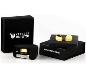 Keyless protector bmw hotsell