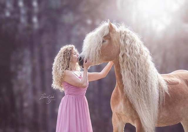 8X JE WEET DAT JE EEN PAARDENMEISJE BENT DOOR DEZE DINGEN