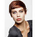 Keune Care Keune CARE Color Brillianz shampoo, conditioner, mask en conditioning spray voordeelpack