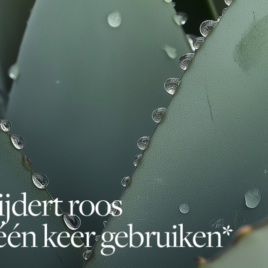 Keune Care Keune CARE Dandruff Detox shampoo tegen roos