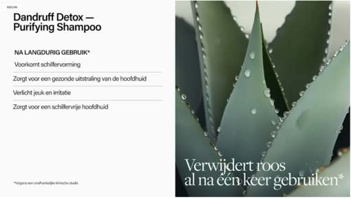 Keune Care Dandruff Detox Purifying bestrijdt roos actief.