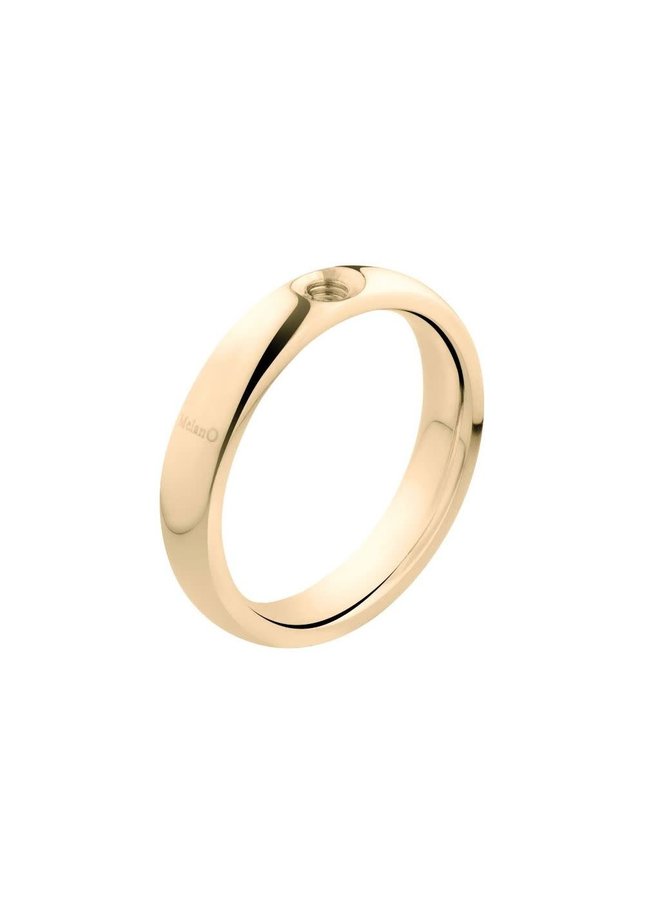 Melano Twisted ring Tracy Gold Plated