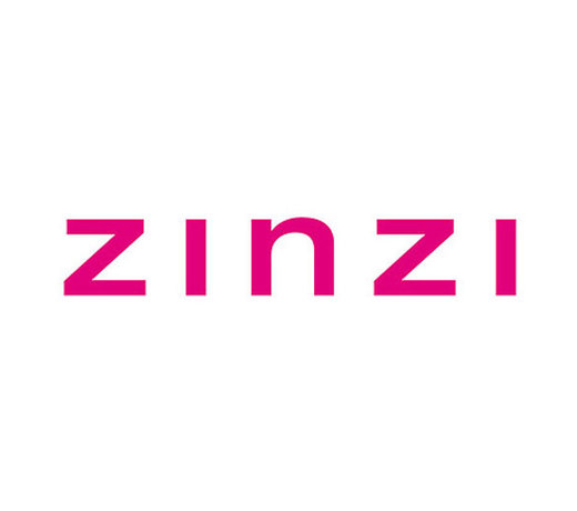 Zinzi