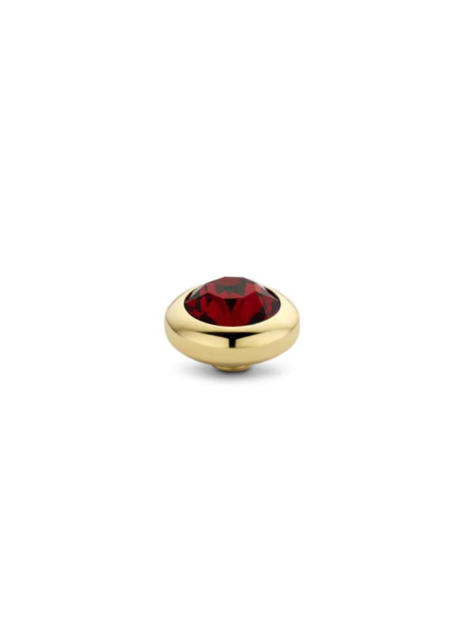 Melano Vivid meddy CZ Ruby Red Goudkleurig