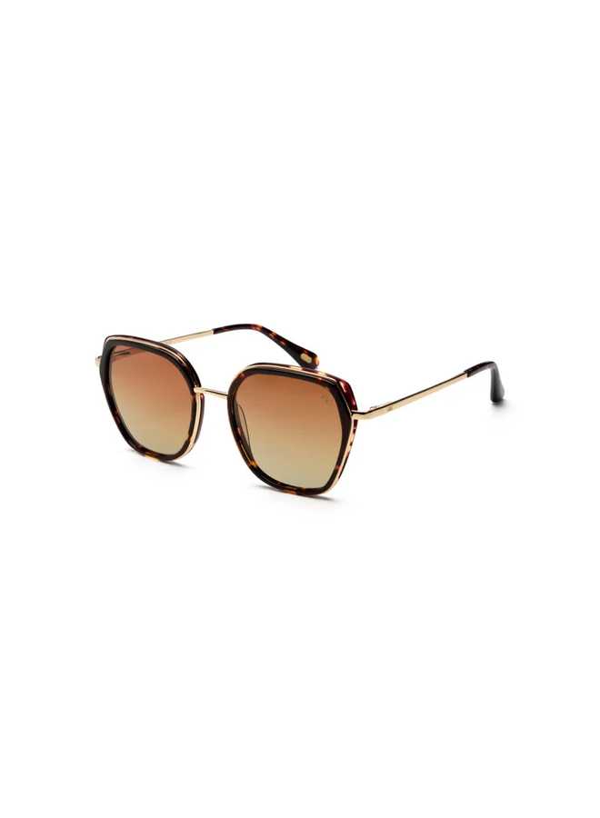 iKKi zonnebril Donna 73-24 Dark Turtle/Gradient Brown