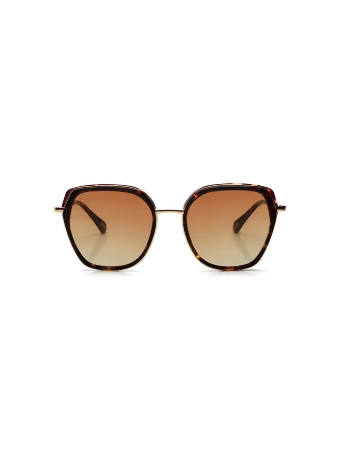 iKKi zonnebril Donna 73-24 Dark Turtle/Gradient Brown