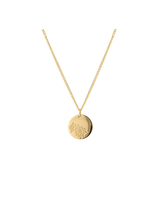 Vedder & Vedder ketting Birthflower December Goud Verguld