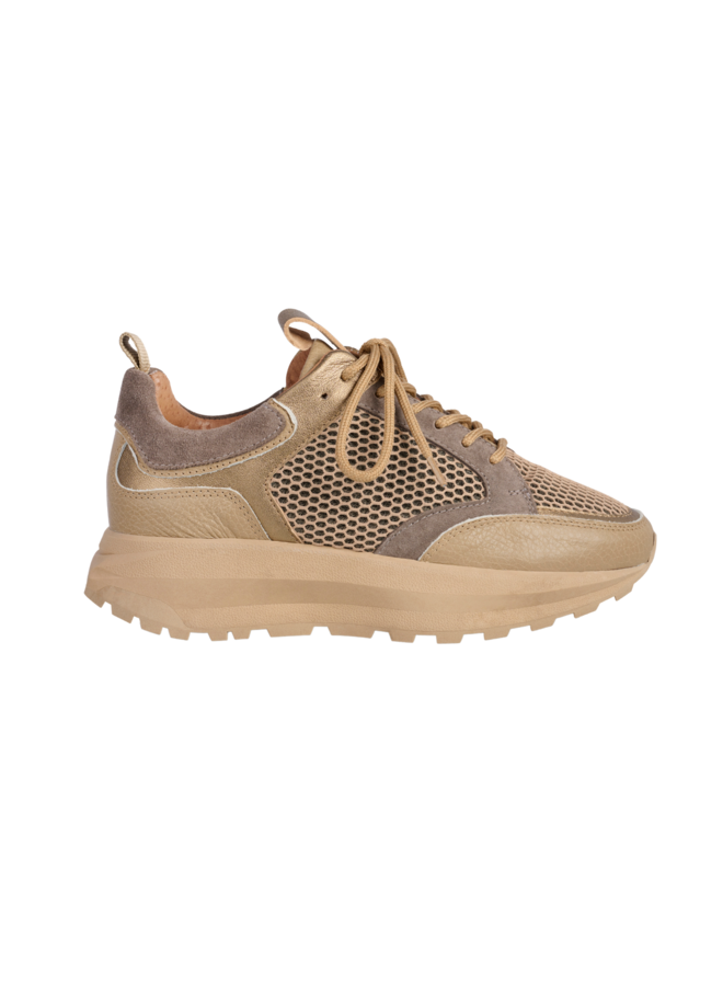 Sneakers Calais Beige/Smoke