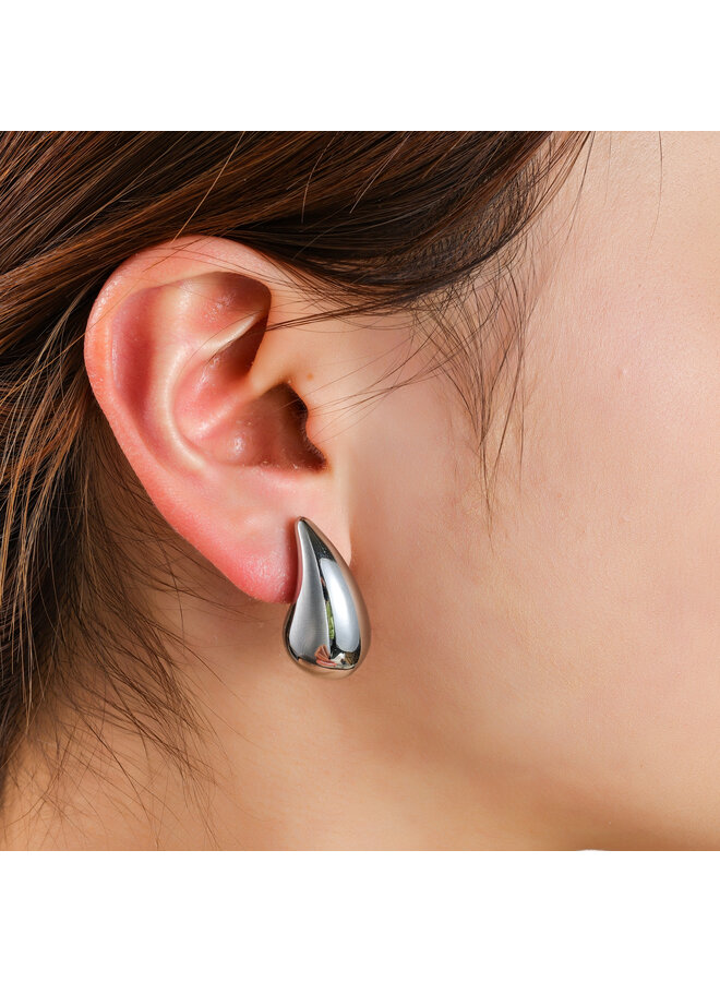 Day & Eve oorbellen E4462-1 Zilverkleurig