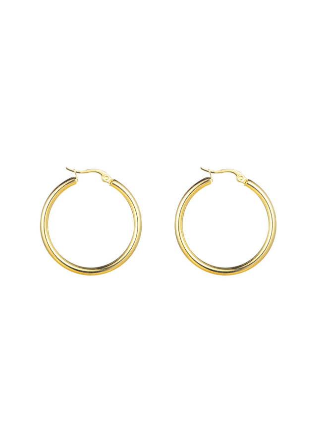 Day & Eve oorbellen E1307-3-2 Goudkleurig