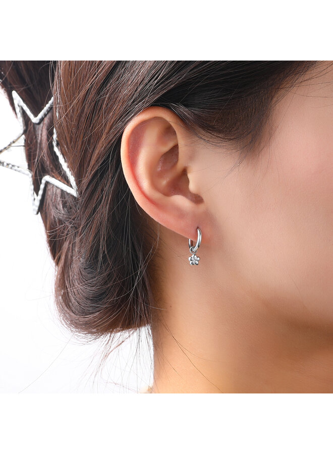 Day & Eve oorbellen E5228-1 Zilverkleurig