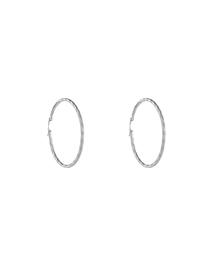 Day & Eve oorbellen E4290-5-1 Zilverkleurig