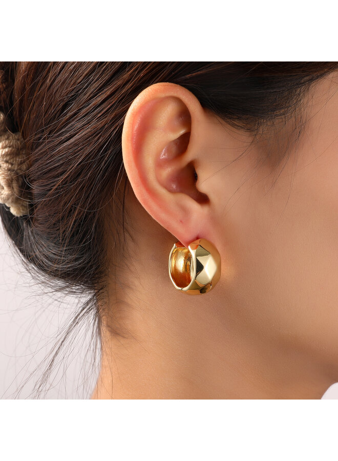 Day & Eve oorbellen E55060-2 Goudkleurig