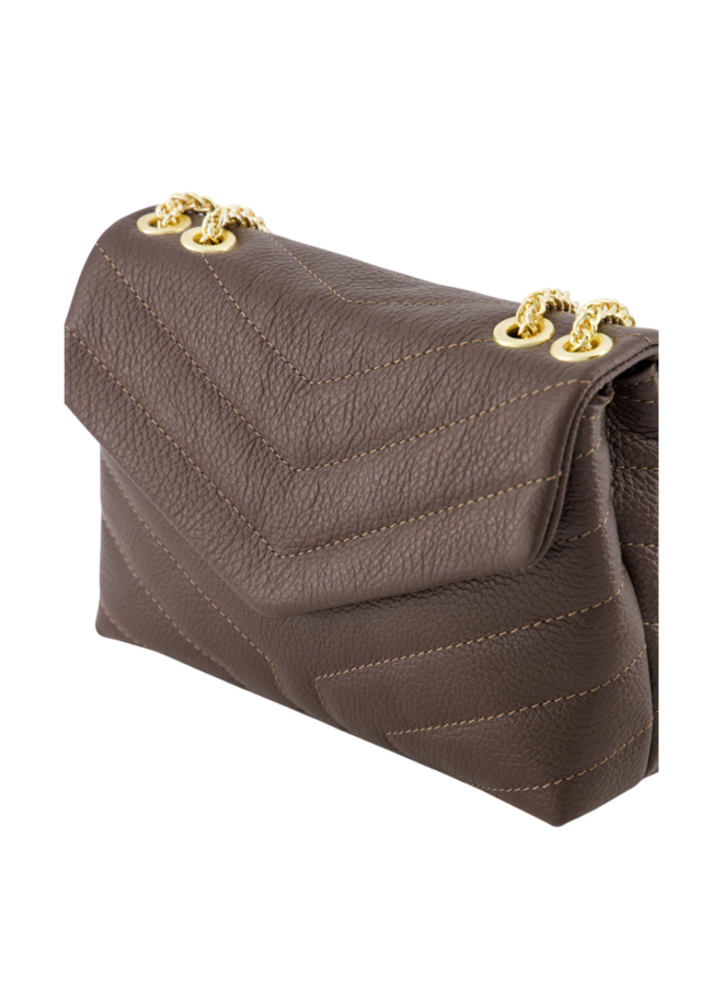 Jewelz tas Celine Classic Grain Bruin/Goudkleurig