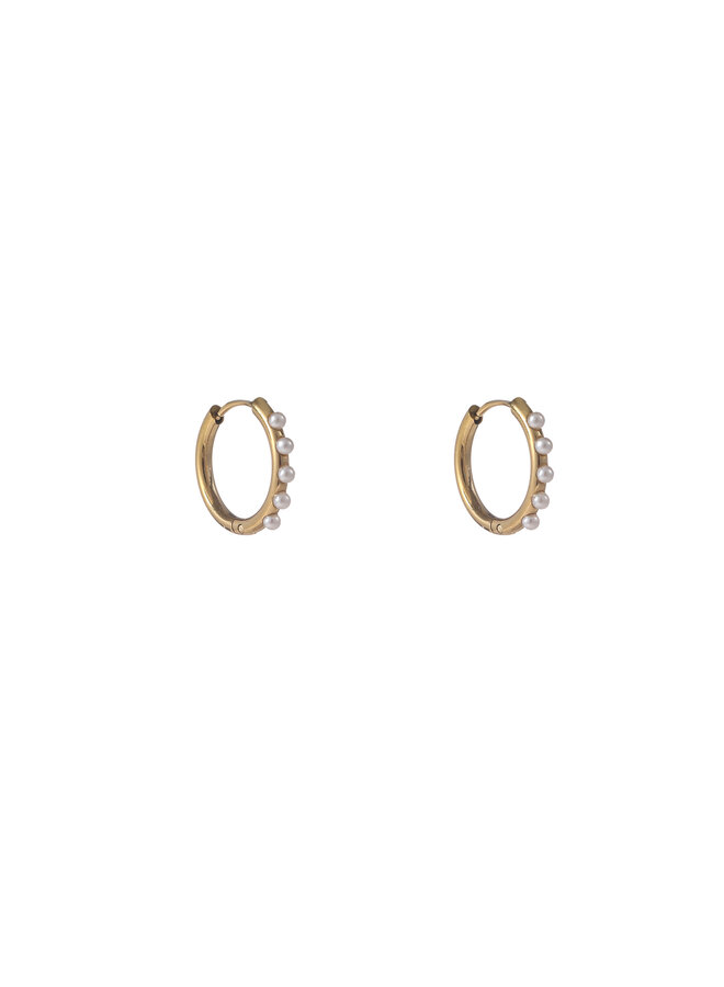 Day & Eve oorbellen E56094-2 Goudkleurig