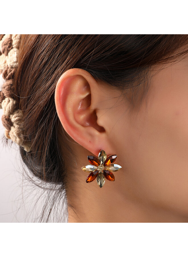 Day & Eve oorbellen E55141-3 Bruin/Goudkleurig