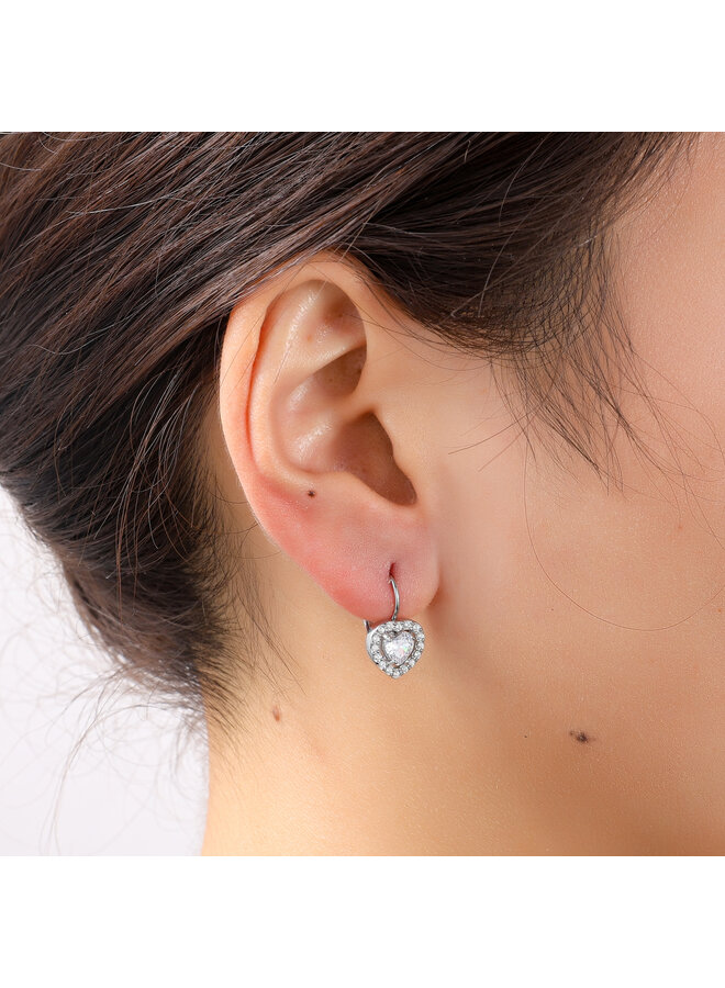 Day & Eve oorbellen E56376-1 Zilverkleurig