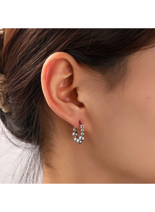 Day & Eve oorbellen E56216-1 Zilverkleurig