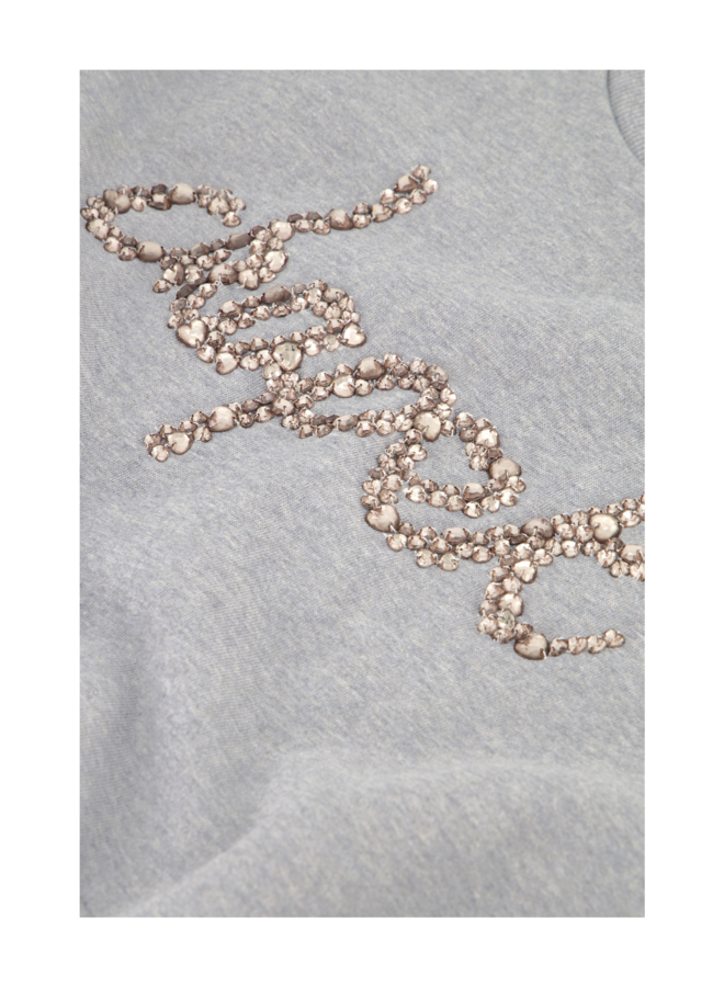 Sweater Terry Rhinestone Dark Grey Melange