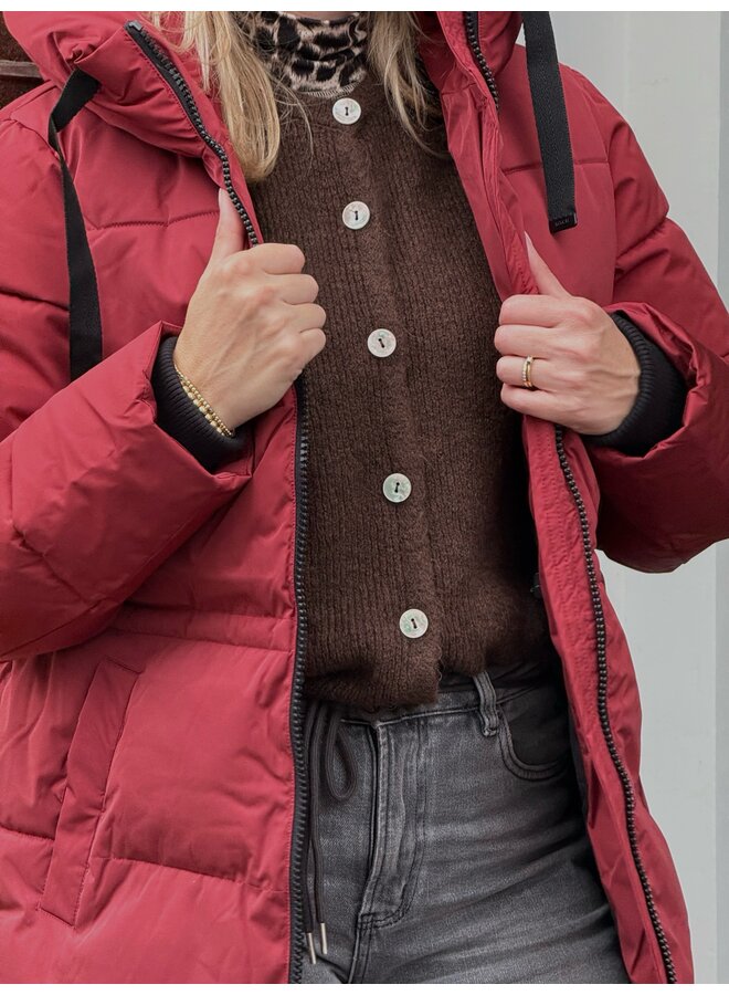 Jas Mola Pavinaria Syrah