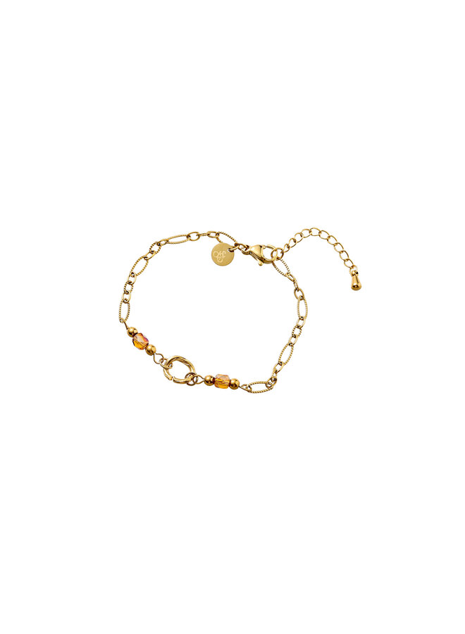 Day & Eve armband B56325-2 Bruin/Goudkleurig