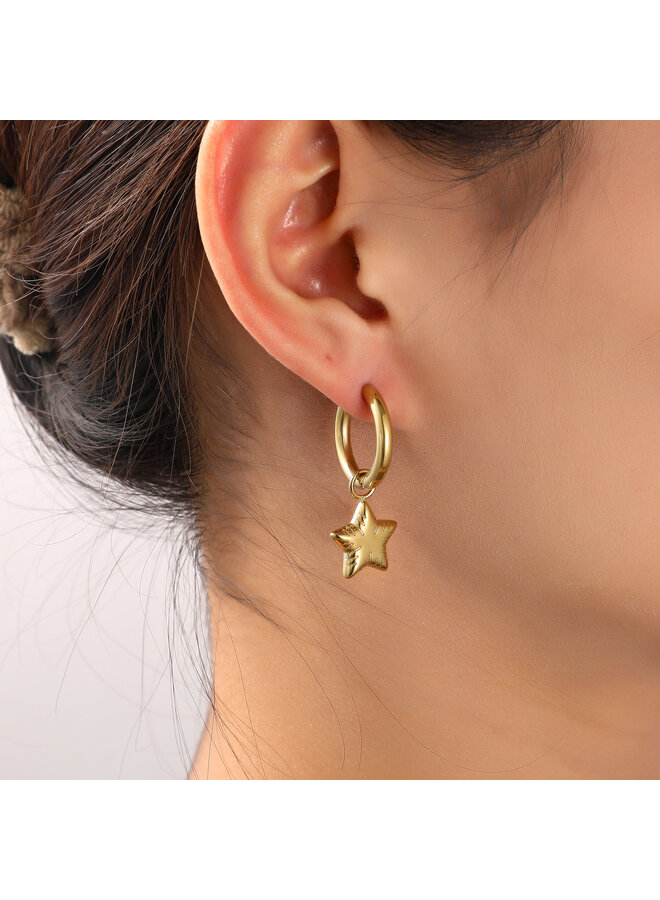 Day & Eve oorbellen E56116-2 Goudkleurig