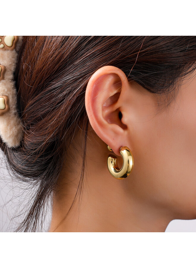 Day & Eve oorbellen E56237-2 Goudkleurig