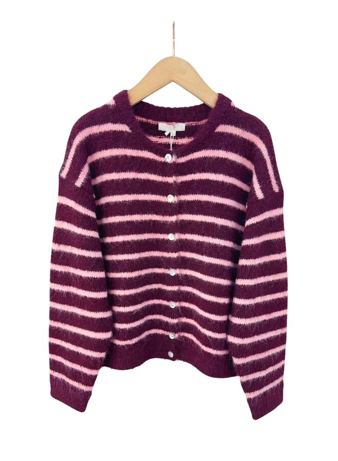 Vest Nina Gestreept Bordeaux/Roze Onesize