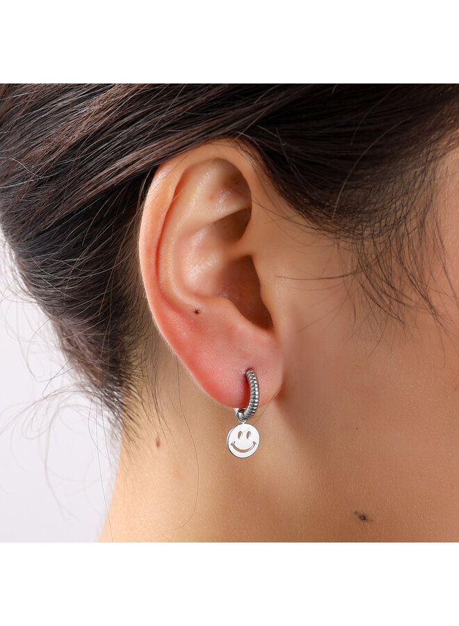 Day & Eve oorbellen E56108-1 Zilverkleurig