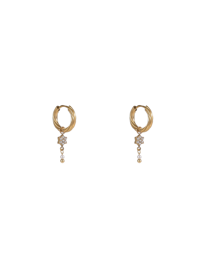 Day & Eve oorbellen E56120-2 Goudkleurig