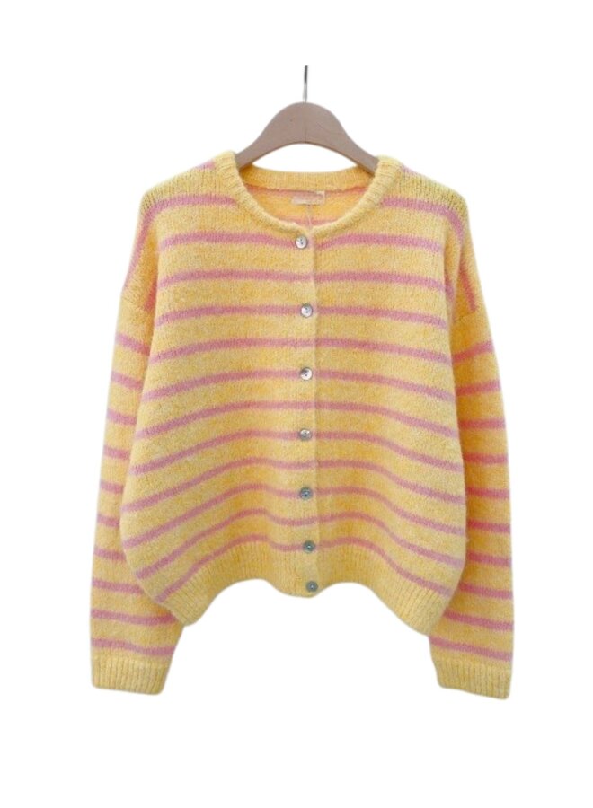 Vest Nina Gestreept Geel/Roze Onesize