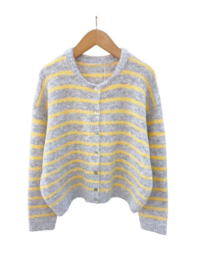 Vest Nina Gestreept Grijs/Geel Onesize