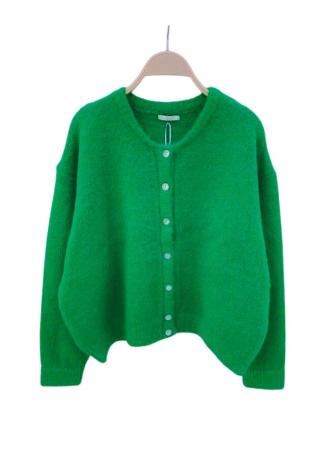 Vest Nina Guccigroen Onesize