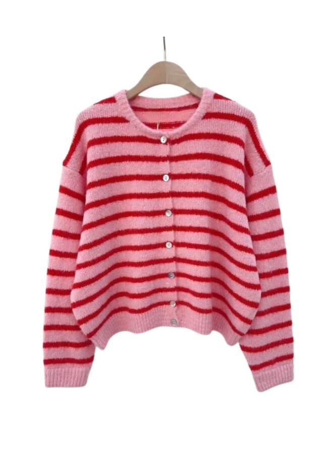 Vest Nina Gestreept Roze/Rood Onesize