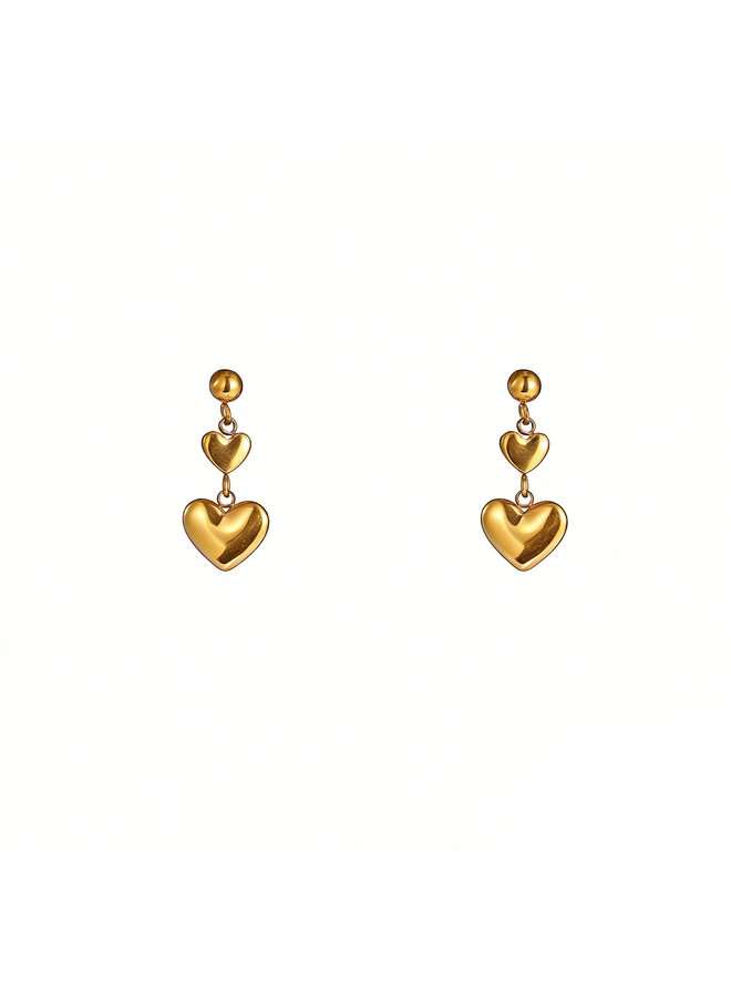 Day & Eve oorbellen E61184-2 Goudkleurig