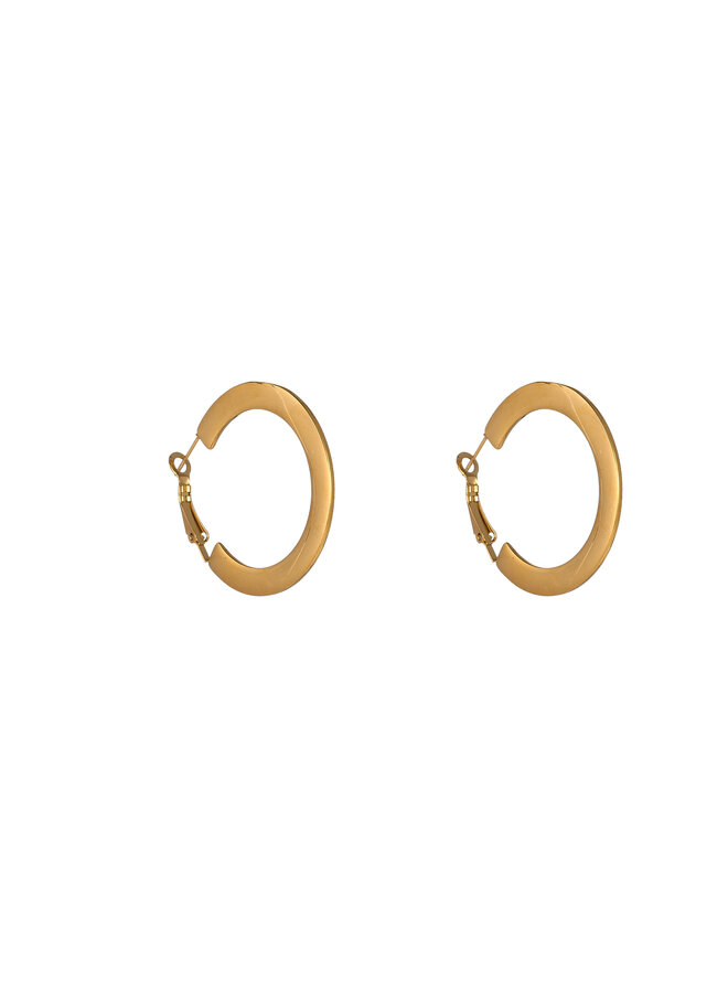 Day & Eve oorbellen E61210-2 Goudkleurig