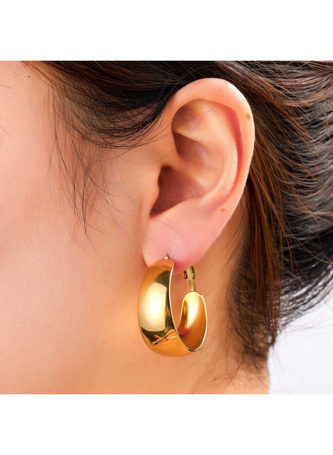 Day & Eve oorbellen E61218-2 Goudkleurig