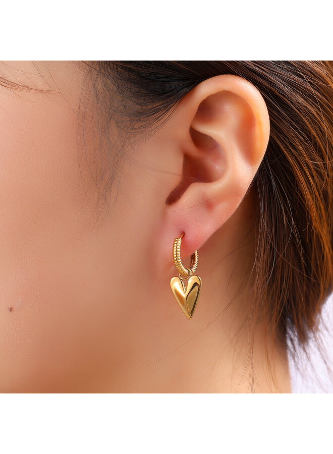 Day & Eve oorbellen E61090-2 Goudkleurig