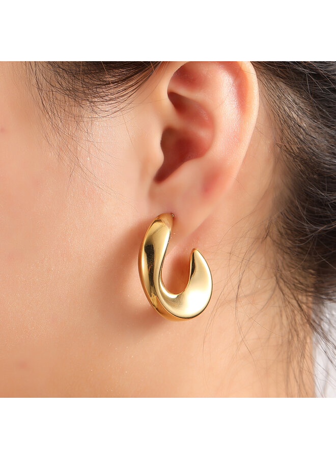 Day & Eve oorbellen E61230-2 Goudkleurig