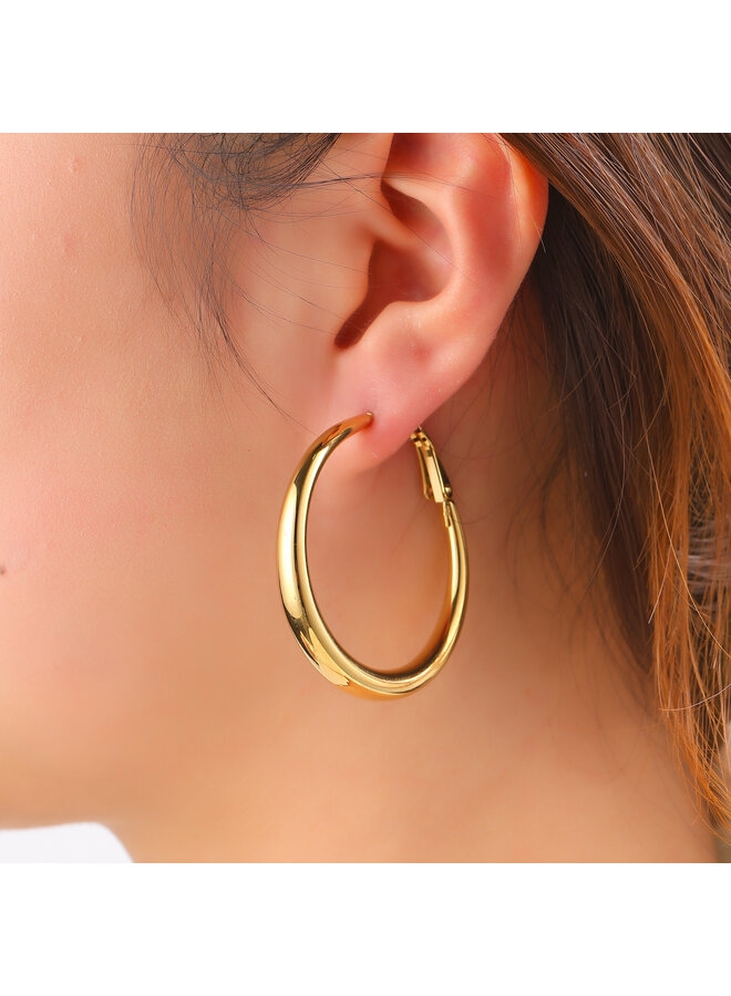 Day & Eve oorbellen E61231-2 Goudkleurig