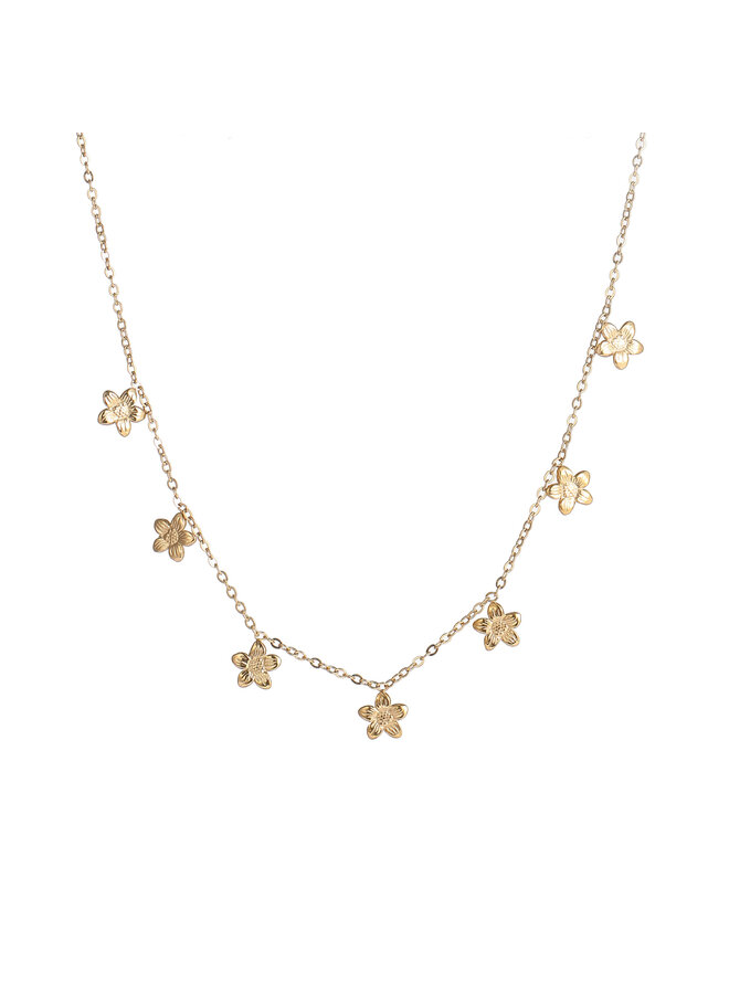 Day & Eve ketting N61297-2 Goudkleurig