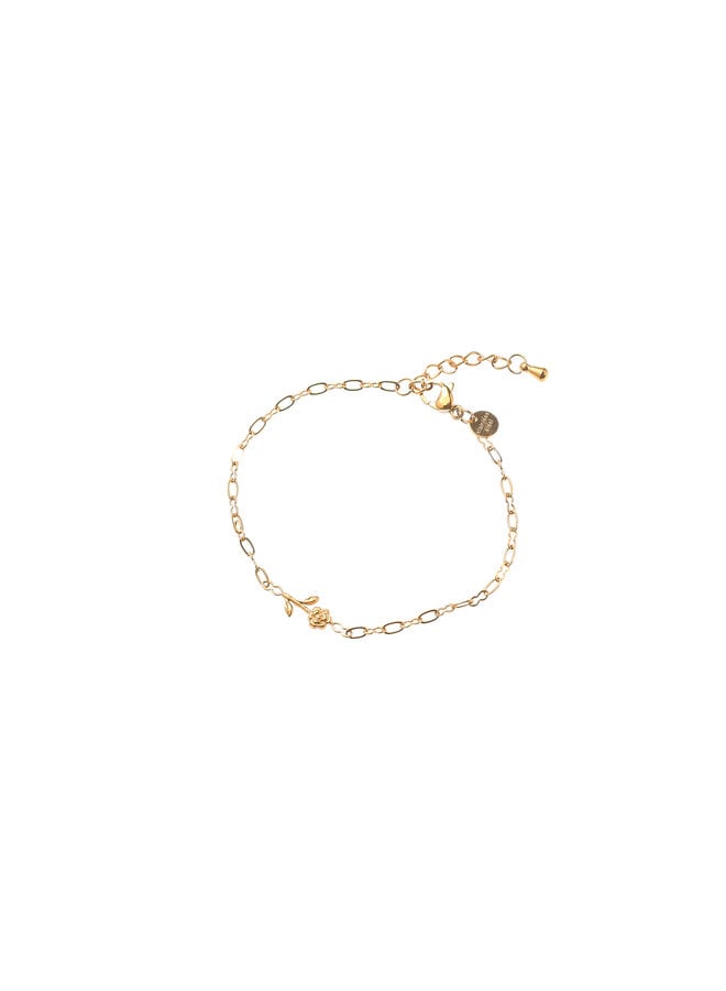 Day & Eve armband B61289-2 Goudkleurig