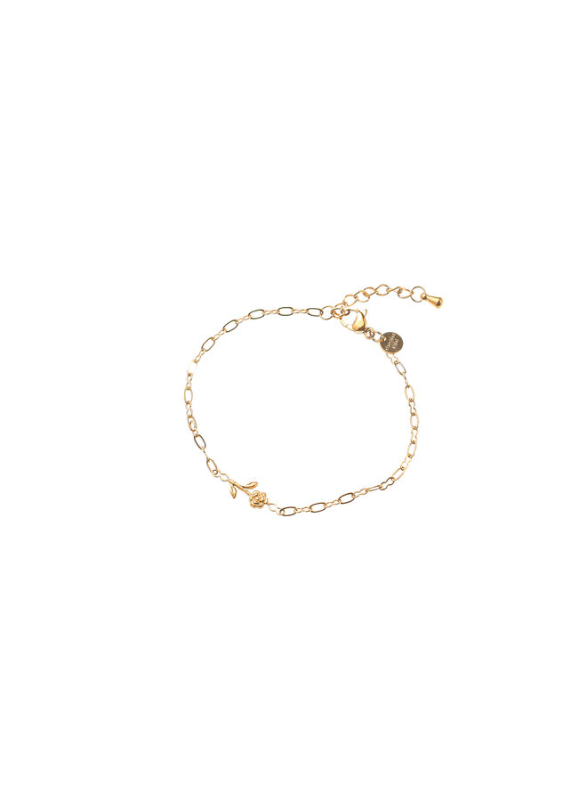 Day & Eve armband B61289-2 Goudkleurig