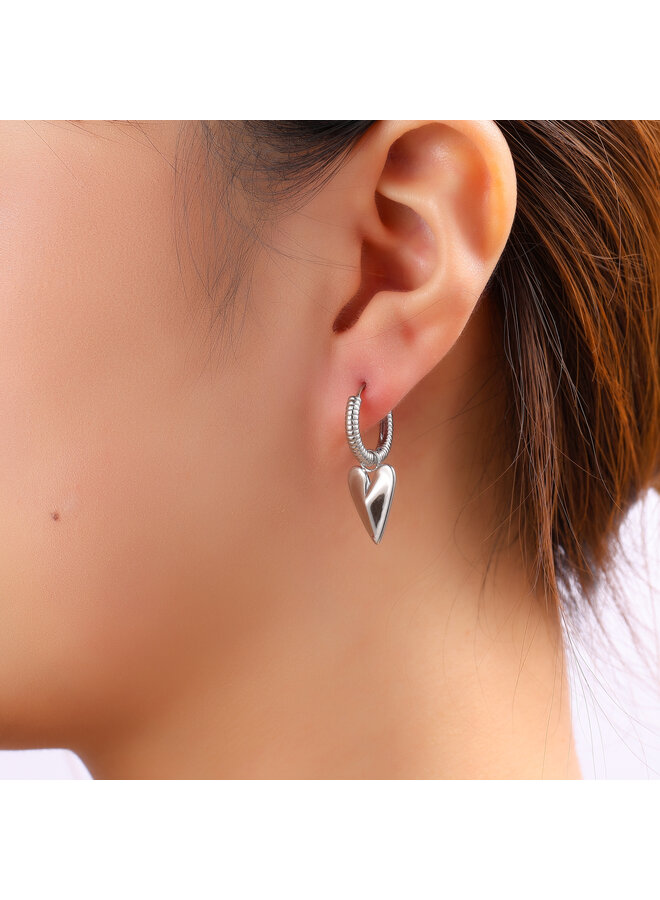 Day & Eve oorbellen E61090-1 Zilverkleurig