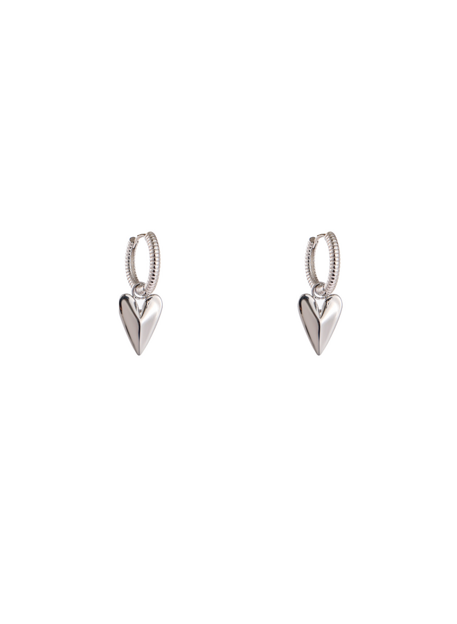 Day & Eve oorbellen E61090-1 Zilverkleurig