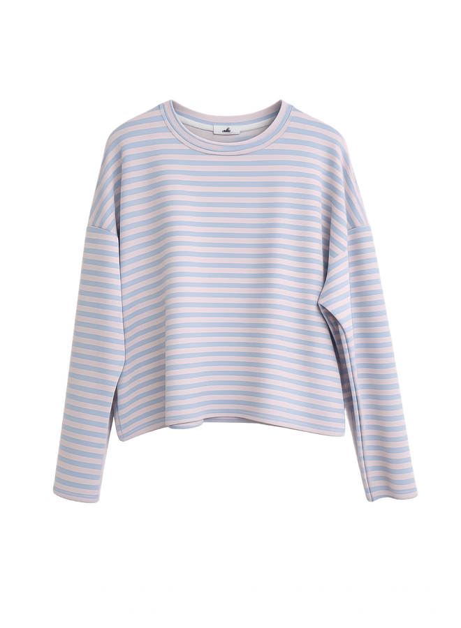 Top Liz Gestreept Blauw/Roze Onesize