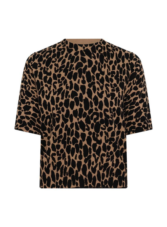 Top PalomaSZ Tiger's Eye Spotty Leo