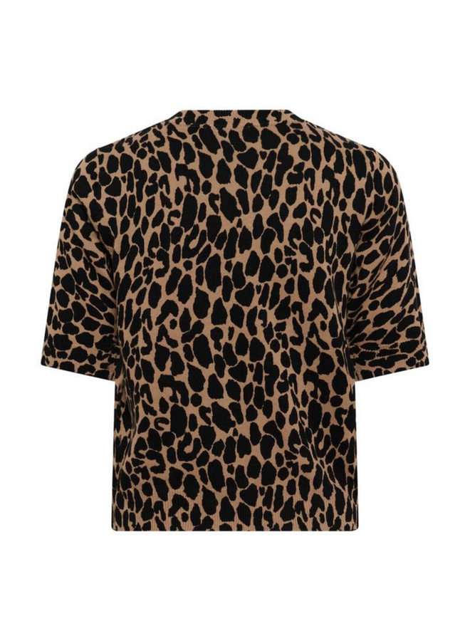 Top PalomaSZ Tiger's Eye Spotty Leo